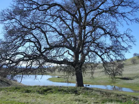 lot9 River Downs Way, Cottonwood, CA 96022