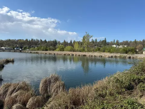 24795 Long St, Fall River Mills, CA 96028 photo 36
