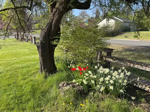 24795 Long St, Fall River Mills, CA 96028 photo 34