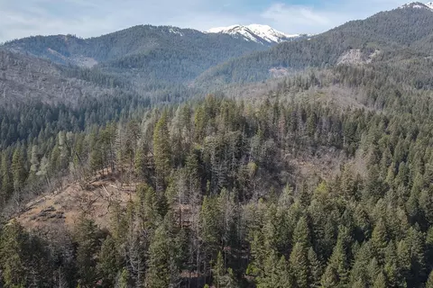 Other - 491 E Branch Rd, Weaverville, CA 96093 photo 2 of 14