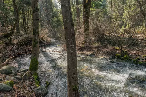 View/Area - 491 E Branch Rd, Weaverville, CA 96093 photo 3 of 4