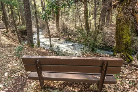 View/Area - 491 E Branch Rd, Weaverville, CA 96093 photo 4 of 4