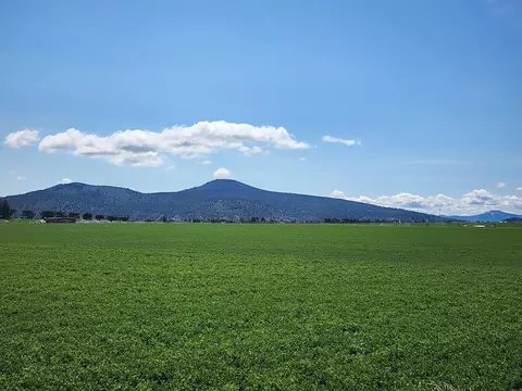 Other - 2935 Sheep Mountain Rd, Macdoel, CA 96058 photo 25 of 82