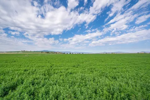 Other - 2935 Sheep Mountain Rd, Macdoel, CA 96058 photo 76 of 82