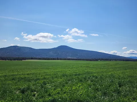 Other - 2935 Sheep Mountain Rd, Macdoel, CA 96058 photo 20 of 82