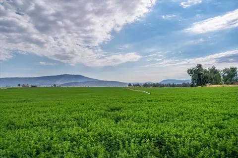 Other - 2935 Sheep Mountain Rd, Macdoel, CA 96058 photo 82 of 82