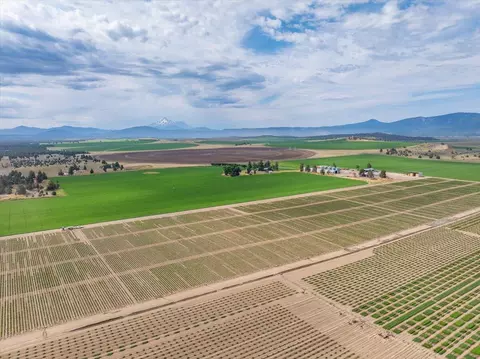 Other - 2935 Sheep Mountain Rd, Macdoel, CA 96058 photo 31 of 82