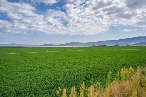 Other - 2935 Sheep Mountain Rd, Macdoel, CA 96058 photo 81 of 82