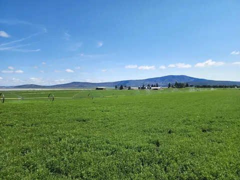 Other - 2935 Sheep Mountain Rd, Macdoel, CA 96058 photo 21 of 82