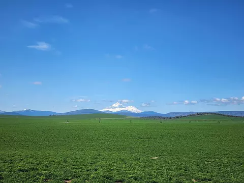 Other - 2935 Sheep Mountain Rd, Macdoel, CA 96058 photo 8 of 82
