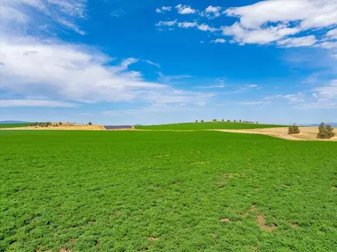Other - 2935 Sheep Mountain Rd, Macdoel, CA 96058 photo 46 of 82