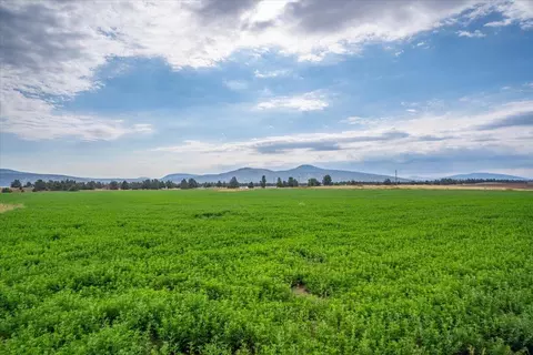 Other - 2935 Sheep Mountain Rd, Macdoel, CA 96058 photo 80 of 82