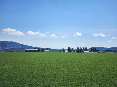 Exterior - 2935 Sheep Mountain Rd, Macdoel, CA 96058 photo 9 of 38