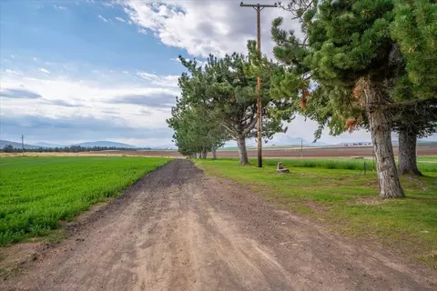 Exterior - 2935 Sheep Mountain Rd, Macdoel, CA 96058 photo 36 of 38