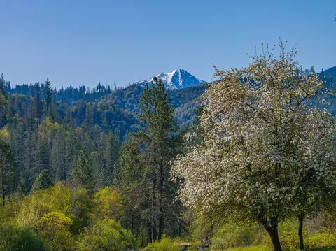 Other - 6790 Rush Creek Rd, Lewiston, CA 96052 photo 15 of 24