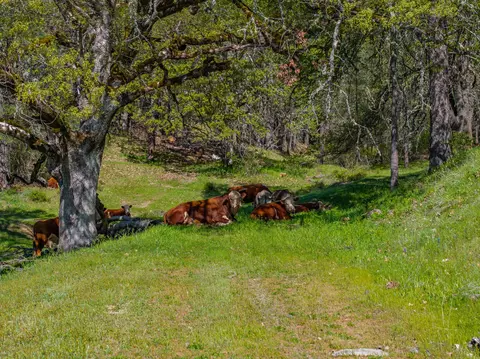 Other - 6790 Rush Creek Rd, Lewiston, CA 96052 photo 14 of 24