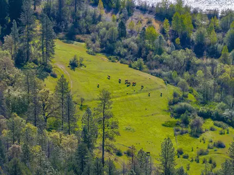 Other - 6790 Rush Creek Rd, Lewiston, CA 96052 photo 24 of 24