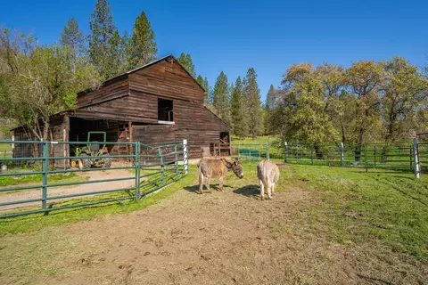 Exterior - 6790 Rush Creek Rd, Lewiston, CA 96052 photo 15 of 36
