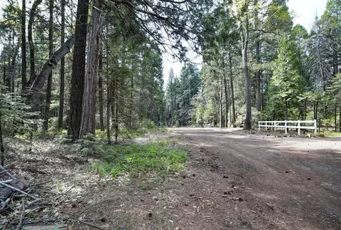 Linda Road, Shingletown, CA 96088