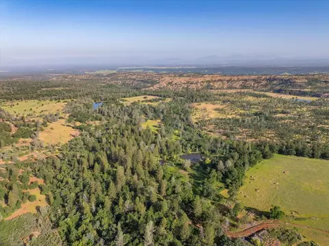 View/Area - 7899 Elmers Way, Shingletown, CA 96088 photo 20 of 25