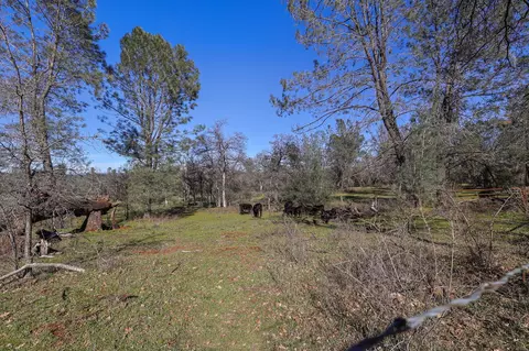 Exterior - 7899 Elmers Way, Shingletown, CA 96088 photo 3 of 16