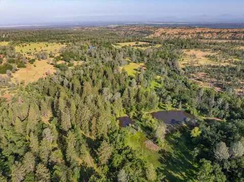 View/Area - 7899 Elmers Way, Shingletown, CA 96088 photo 22 of 25