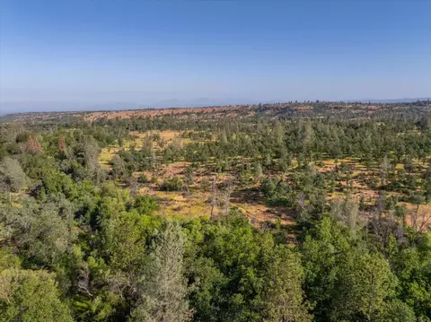 View/Area - 7899 Elmers Way, Shingletown, CA 96088 photo 14 of 25