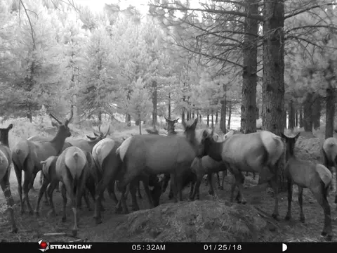 Other - 2125 Lava, Mccloud, CA 96057 photo 20 of 29