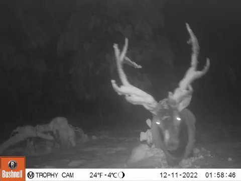 Other - 2125 Lava, Mccloud, CA 96057 photo 7 of 29