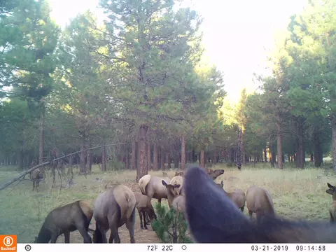 Other - 2125 Lava, Mccloud, CA 96057 photo 22 of 29