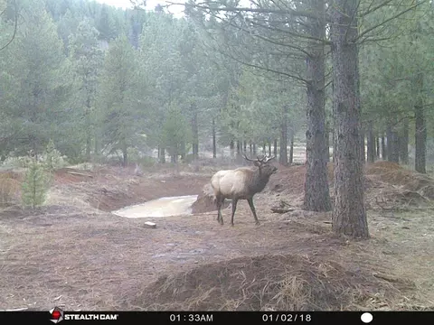 Other - 2125 Lava, Mccloud, CA 96057 photo 18 of 29