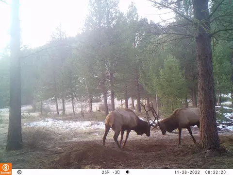Other - 2125 Lava, Mccloud, CA 96057 photo 5 of 29