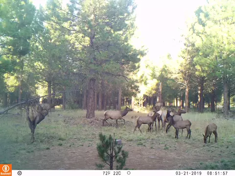 Other - 2125 Lava, Mccloud, CA 96057 photo 14 of 29