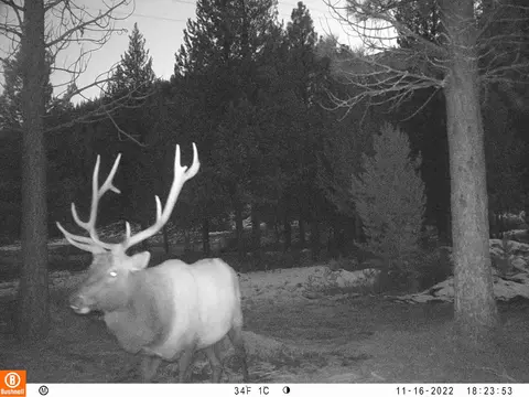 Other - 2125 Lava, Mccloud, CA 96057 photo 12 of 29