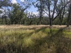 Palo Cedro Drive Drive, Palo Cedro, CA 96073