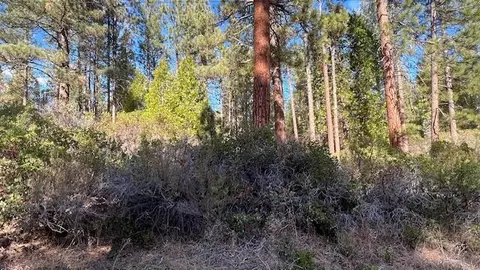 Circle Drive, Old Station, CA 96071 photo 2