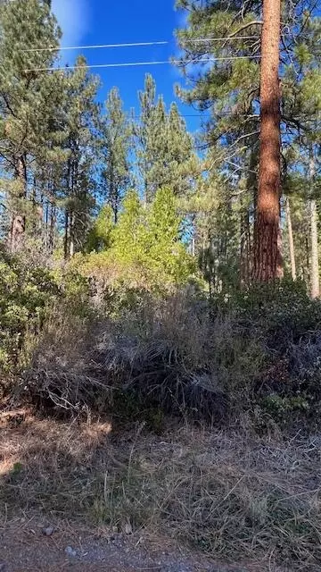 Circle Drive, Old Station, CA 96071 photo 3