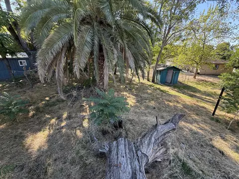 210 Gilmore Rd, Red Bluff, CA 96080 photo 21