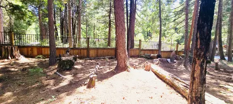 8333 Starlite Pines Rd, Shingletown, CA 96088 photo 5