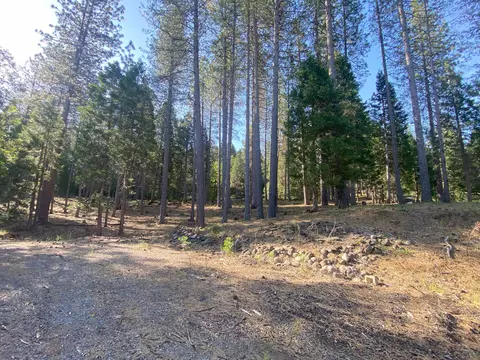 15218 Arrow Point Dr, Oak Run, CA 96069 photo 3