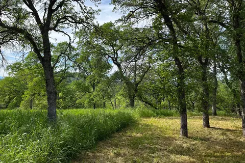 16475 River Heights Dr, Red Bluff, CA 96080 photo 20