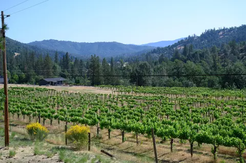 Other - 300 Dirt Rd, Lewiston, CA 96052 photo 1 of 11