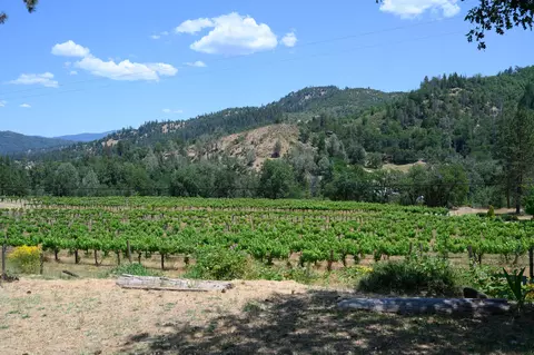 Other - 300 Dirt Rd, Lewiston, CA 96052 photo 10 of 11