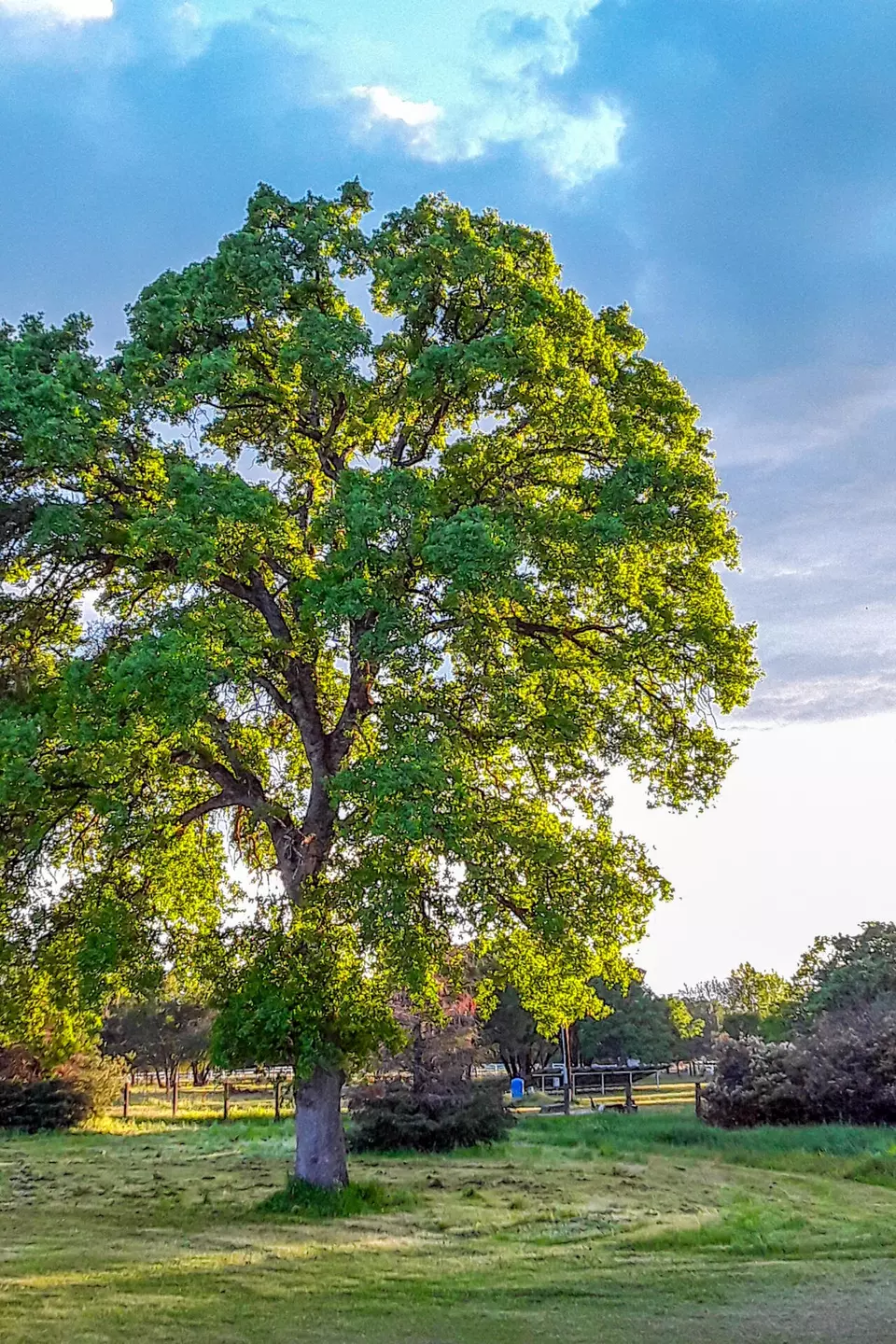  3423 Moonbeam Ln, Cottonwood, CA 96022 photo 26