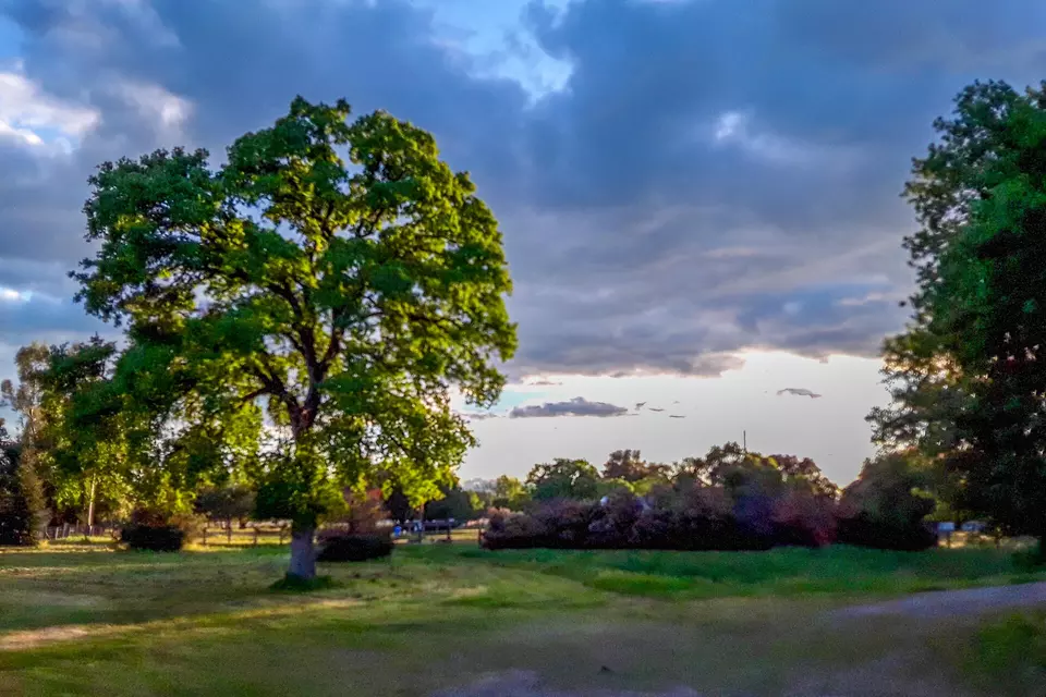  3423 Moonbeam Ln, Cottonwood, CA 96022 photo 25