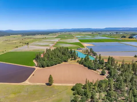 View/Area - 41494 Gomez Rd, Fall River Mills, CA 96028 photo 8 of 15