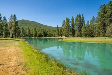 View/Area - 41494 Gomez Rd, Fall River Mills, CA 96028 photo 6 of 15