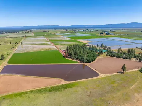 View/Area - 41494 Gomez Rd, Fall River Mills, CA 96028 photo 9 of 15