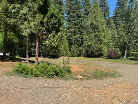 Exterior - 90 Millview Dr, Trinity Center, CA 96091 photo 3 of 4