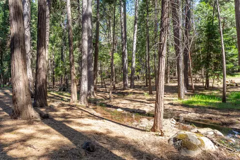 30720 Thumper Dr, Shingletown, CA 96088 photo 16